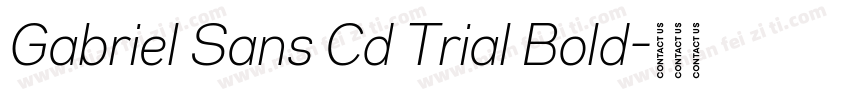 Gabriel Sans Cd Trial Bold字体转换